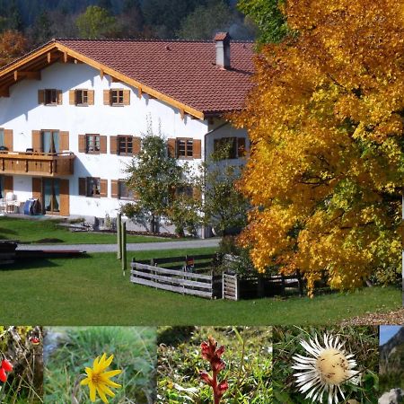 Ferienwohnungen Hennenmühle Bad Hindelang Exterior foto